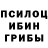 Псилоцибиновые грибы мухоморы SEMEN LEBEDENKO