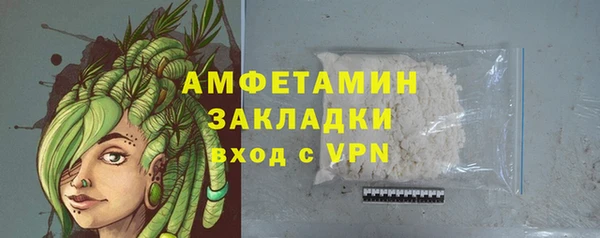 ПСИЛОЦИБИНОВЫЕ ГРИБЫ Горно-Алтайск
