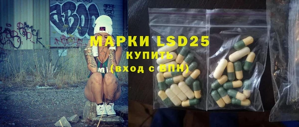 ПСИЛОЦИБИНОВЫЕ ГРИБЫ Горно-Алтайск