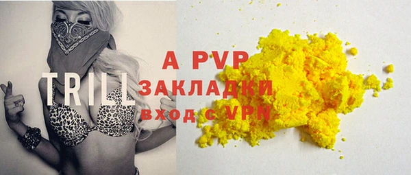 ПСИЛОЦИБИНОВЫЕ ГРИБЫ Горно-Алтайск