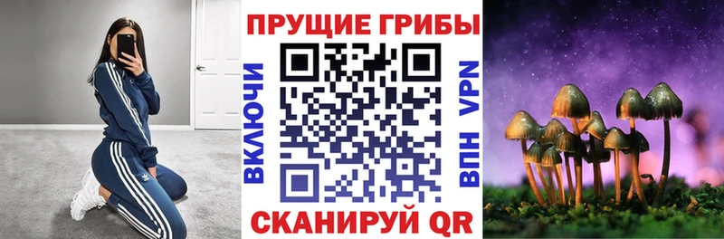 Галлюциногенные грибы ЛСД блэк спрут маркетплейс Петропавловск-Камчатский